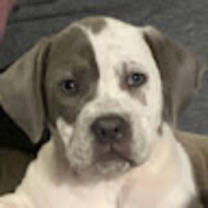 Meet your Posher, Kristi